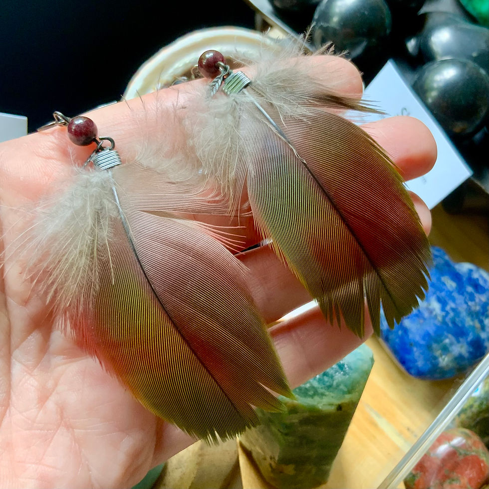 Parrot feather earrings with garnet at metaphysical crystal shop Canada
