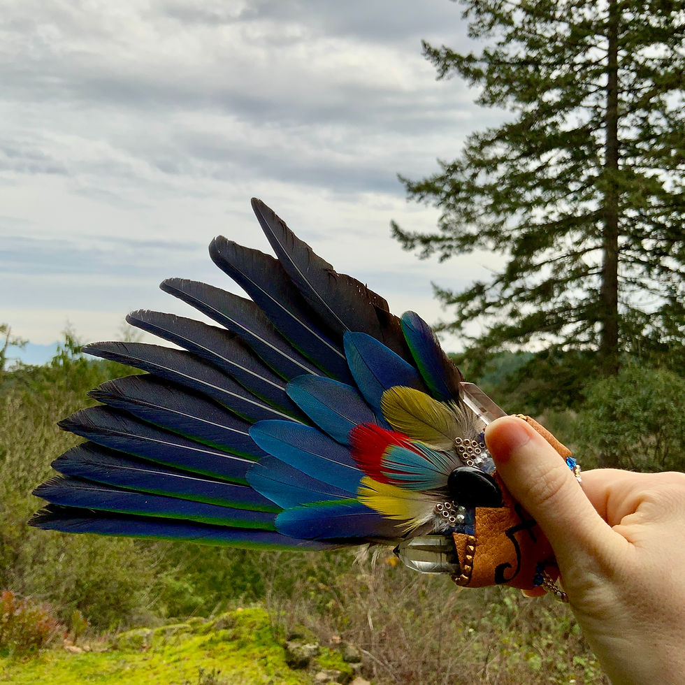 Greyhaven star priestess parrot feather ceremonial smudge fan by Sah at Blue Apples metaphysical crystal shop Canada
