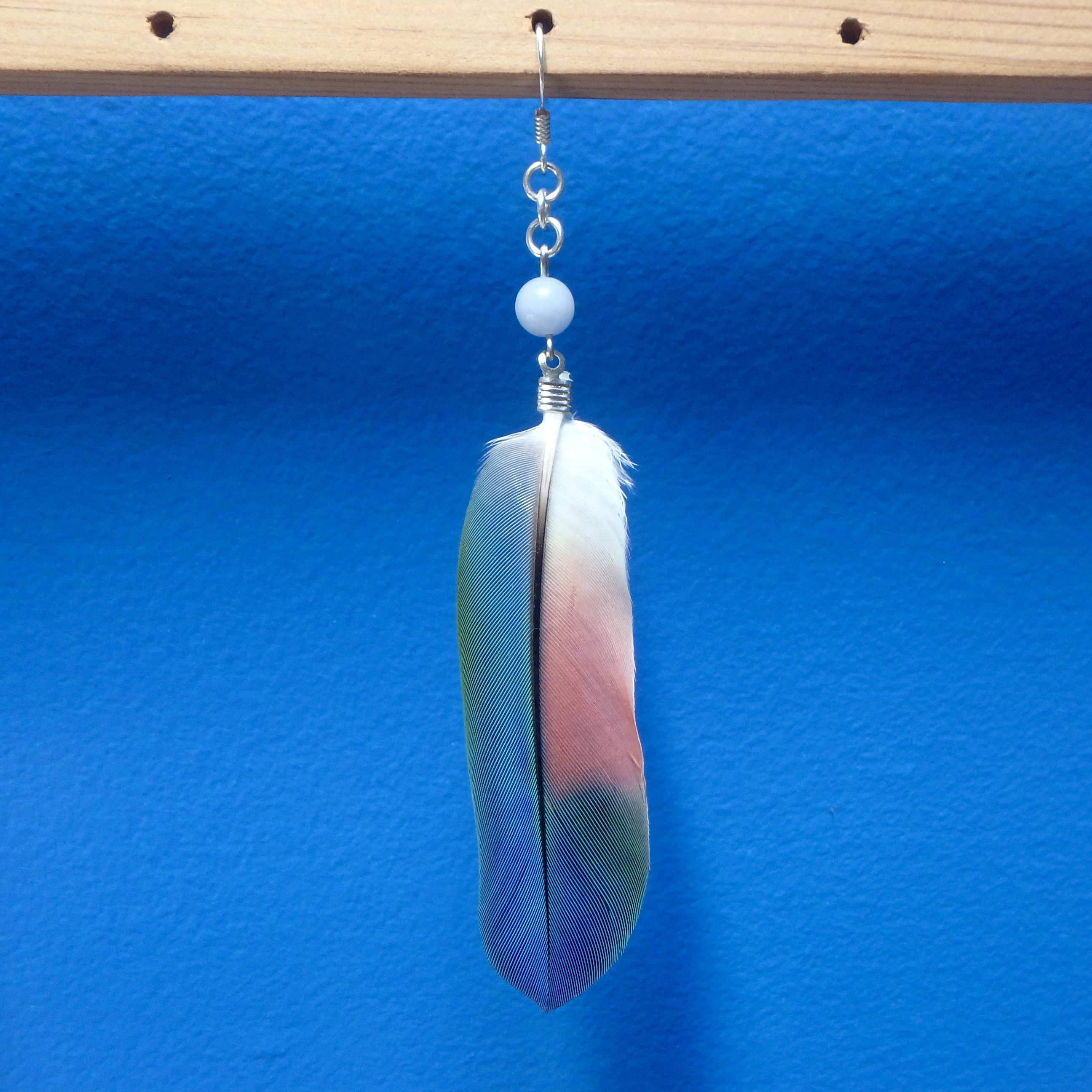 parrot feather earrings