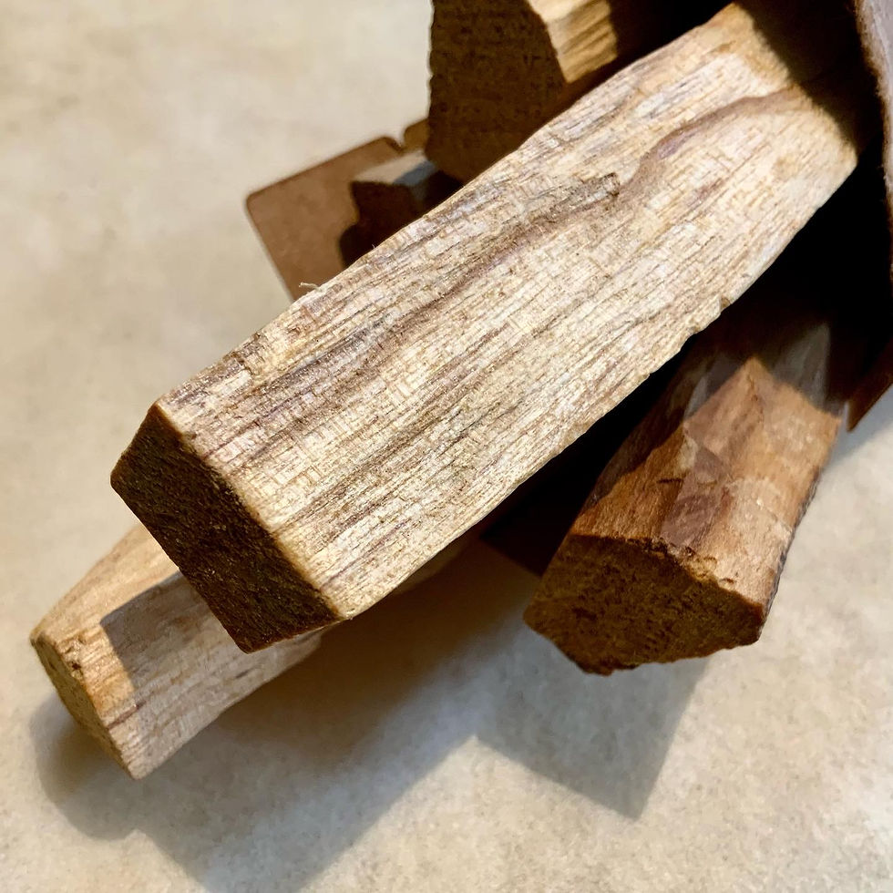 palo santo sticks at metaphysical crystal shop