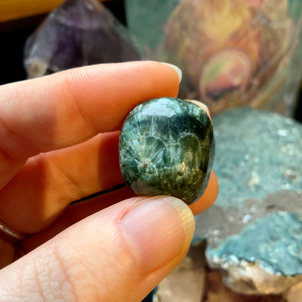 tumbled Seraphinite stone at Blue Apples metaphysical crystal shop