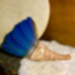 Macaw parrot feather fan with cobra jasper inlay at Metaphysical crystal shop
