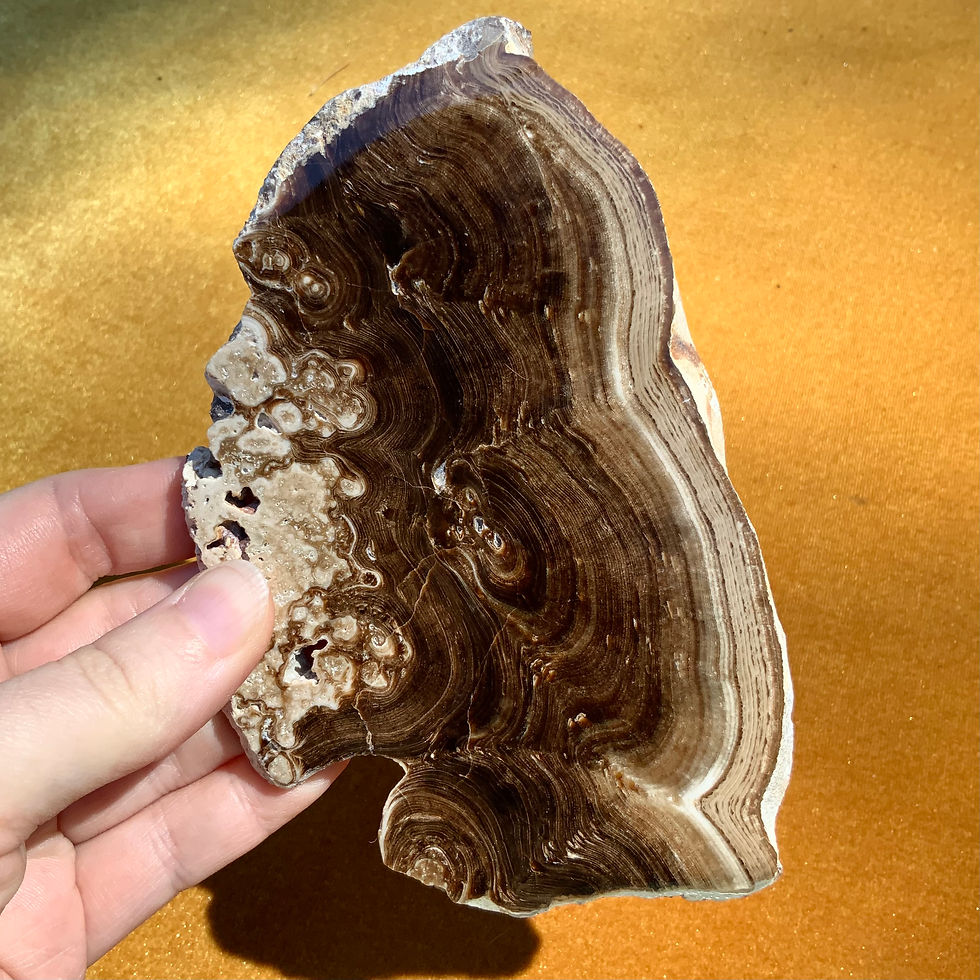 Chocolate calcite slice at Metaphysical crystal shop Canada