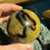 Thumbnail: 2.5 inch Septarian sphere crystal ball at metaphysical crystal shop