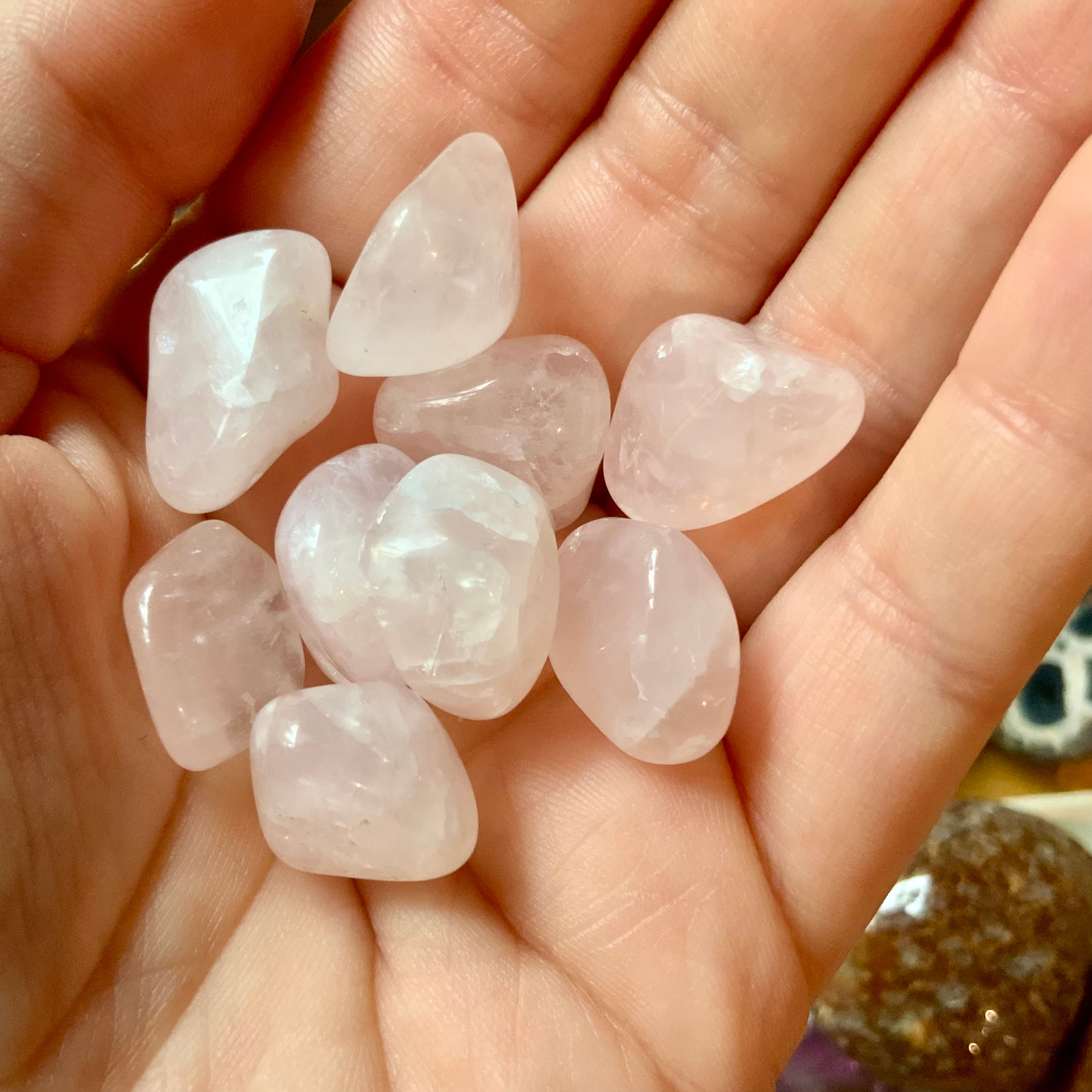 Small rose quartz tumbled crystals 9 pieces at metaphysical crystal shop Canada