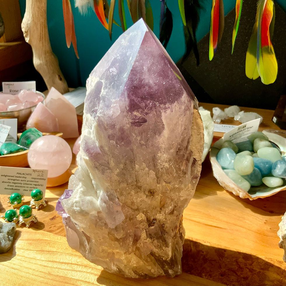 Thumbnail: Large amethyst crystal point cut base at metaphysical crystal shop canada