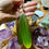 Thumbnail: green amazon parrot feather earring single at metaphysical crystal shop