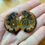 Thumbnail: Ammonite fossil matching pair cabs for jewelry making at metaphysical crystal shop canada