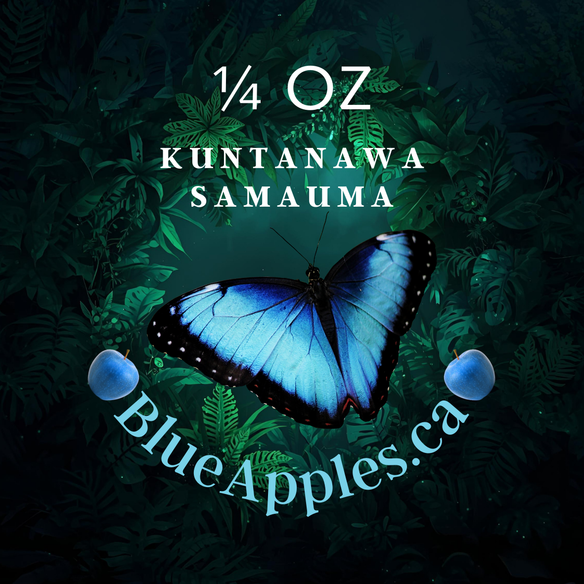Kuntanawa Samauma amazonian hapé Rapeh Brazil at metaphysical crystal shop canada