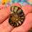 Thumbnail: Ammonite fossil matching pair cabs for jewelry making at metaphysical crystal shop canada