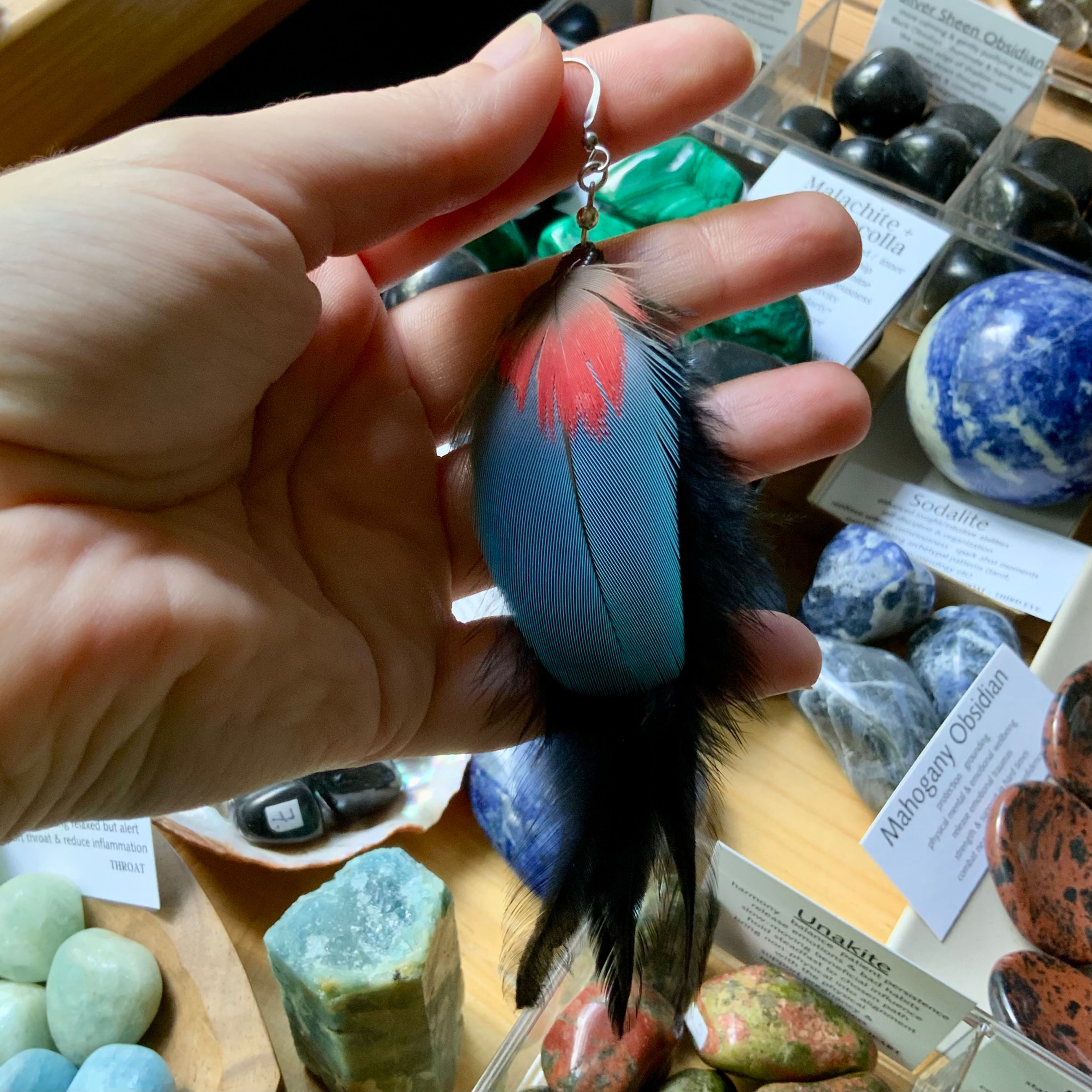 Parrot and rooster feather earring single at metaphysical crystal shop Canada