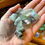 Thumbnail: Bulk raw fluorite crystals at metaphysical crystal shop