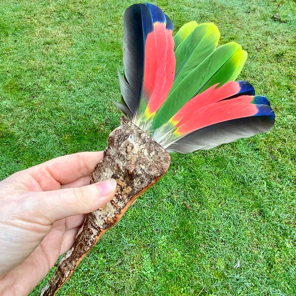 Greyhaven Amazon parrot feather fan by Sah and André at Blue Apples metaphysical crystal shop