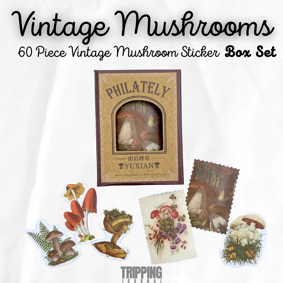 vintage style mushroom sticker box set by Tripping Journal at metaphysical crystal shop