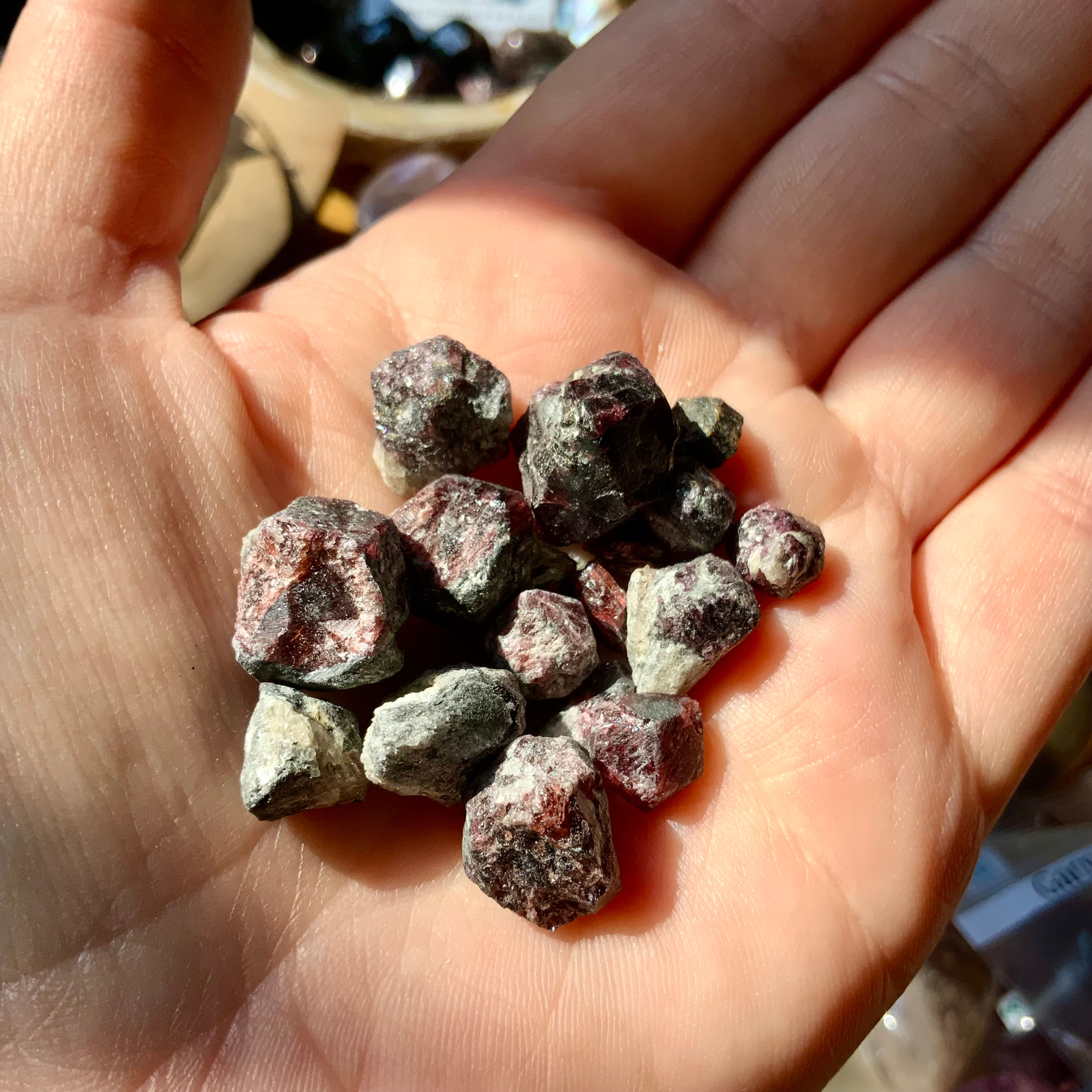 Small raw garnets bulk at Metaphysical crystal shop Canada