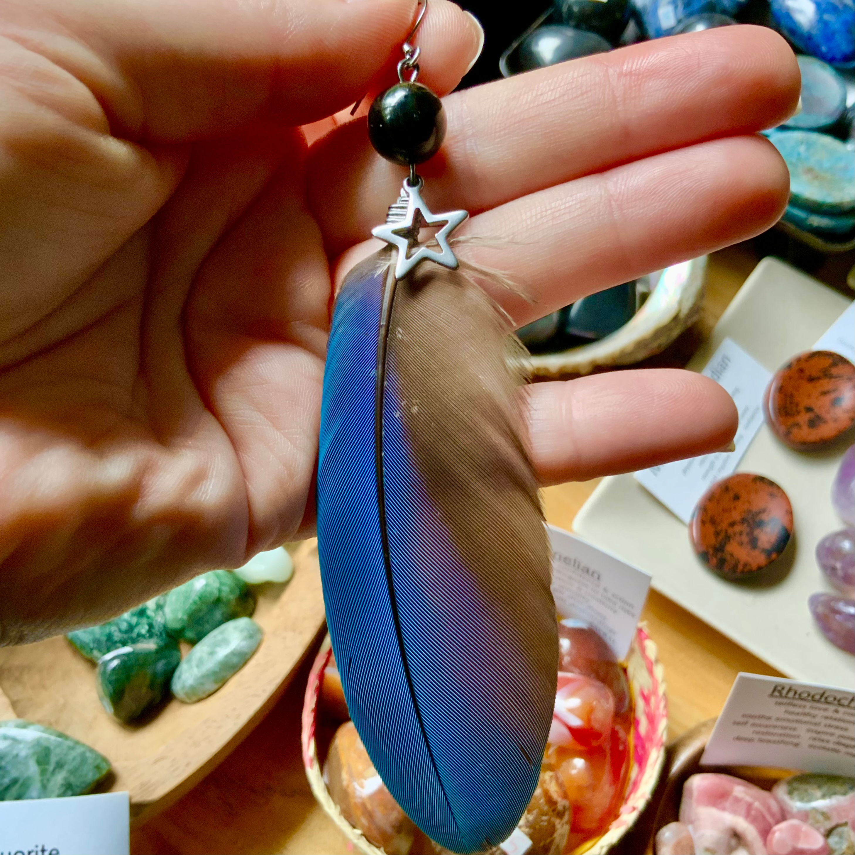 Macaw feather earring single with petrified wood at metaphysical crystal shop Canada