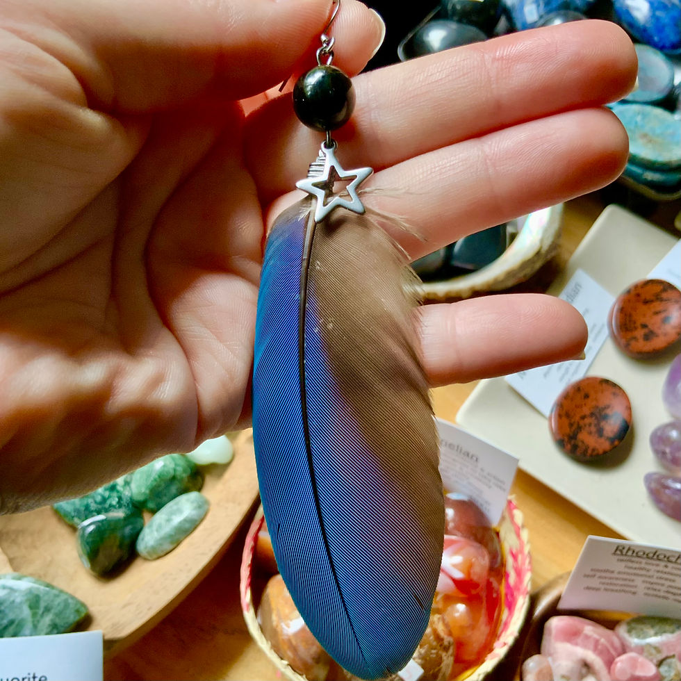Macaw feather earring single with petrified wood at metaphysical crystal shop Canada