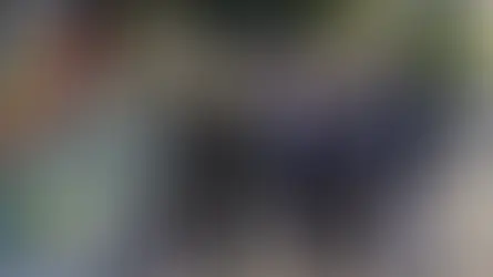 European Leaders Rally in Kyiv, Demand Russia Accept 30-Day Ceasefire