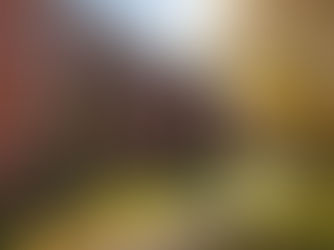 Harvard Offers Free Tuition for Families Earning $200,000 or Less