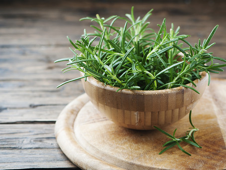 Rosemary for restoring your hair