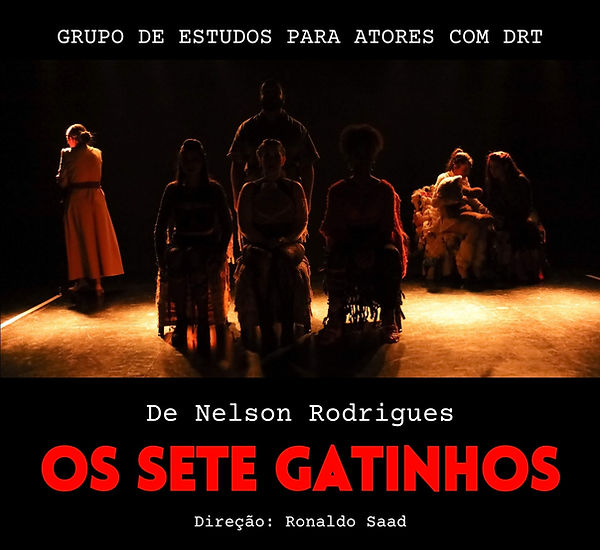 GRUPO DE ESTUDOS PARA ATORES COM DRT_edited.jpg