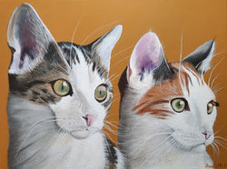 Portrait animalier