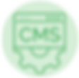 CMS SEO Tool