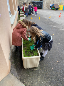 plantation5-ecole-privee-jeanne-darc-is-sur-tille.heic