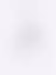 Rimeh Garden Crescent Snail Silver Necklace close up view