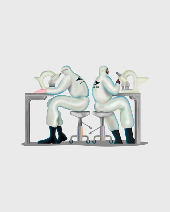 Sleeve Studios Acalah Website Illustration