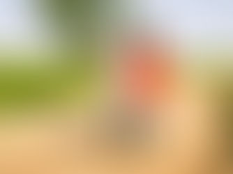 Social Advocacy and Friendship