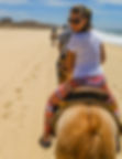 horsey2.jpg