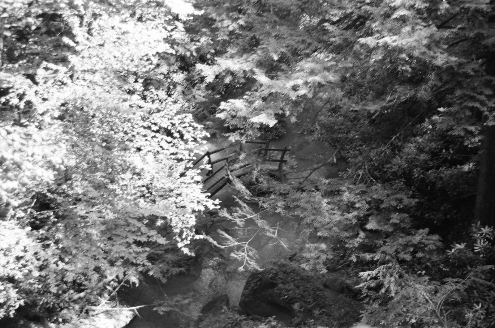 Broke Leg Falls KY. B02-10