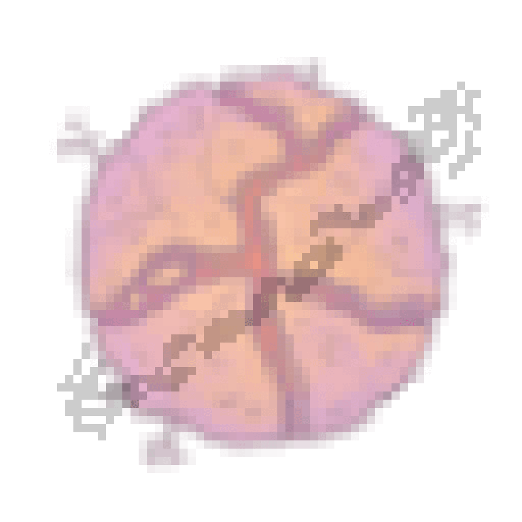 Planeta Lesbi.gif