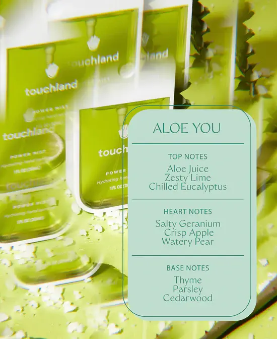 Thumbnail: POWER MIST ALOE YOU (12-pack)