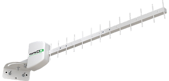 11800421.png