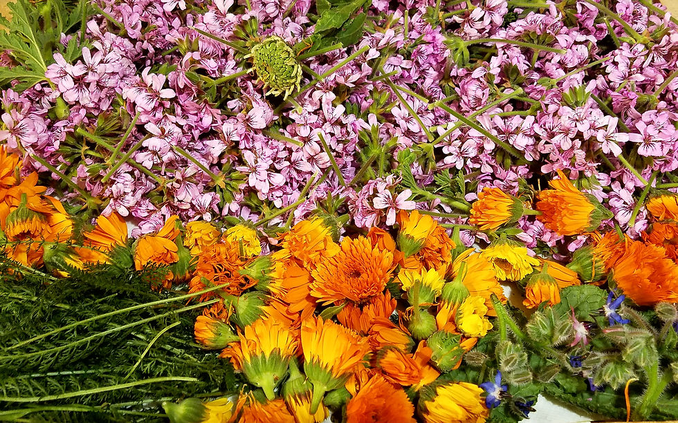 20170822_163214.jpg