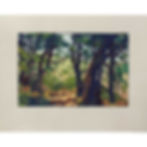 Original silk-screened print by Mario Uribe showing a forest path.