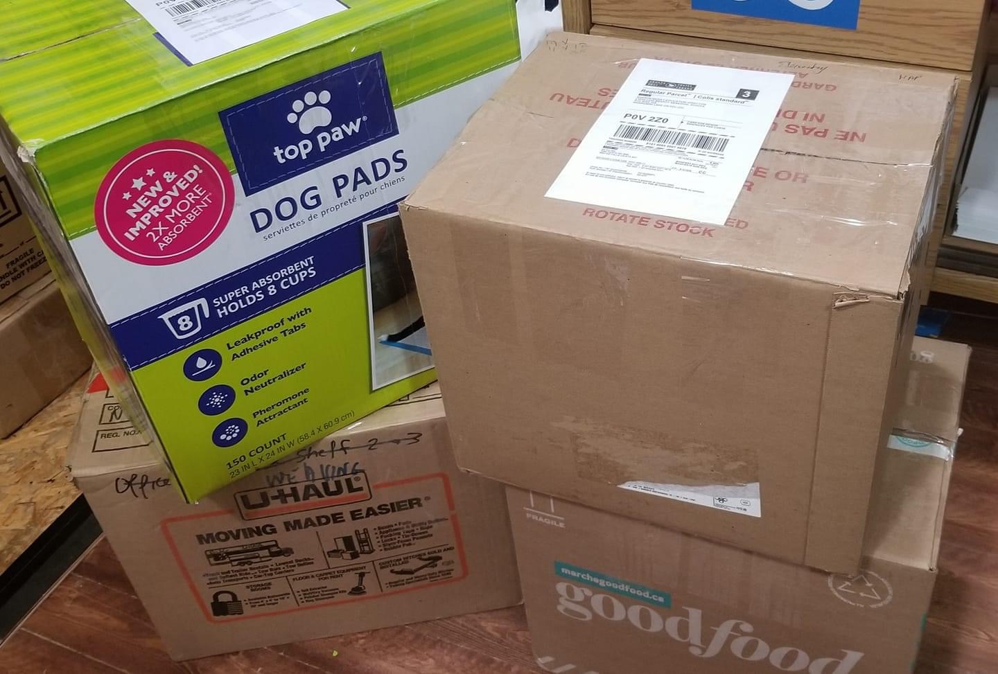 Indigenous Art Help The Art for Aid Project