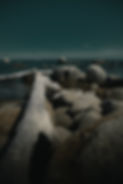 2E5A5623.jpg
