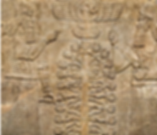 Tree of life.png