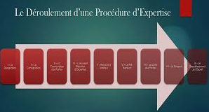 DEROULEMENT D'UNE EXPERTISE