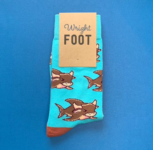 Bull Shark | Wright Foot