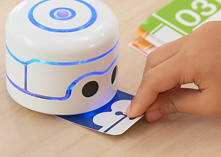 Kamibot Pi