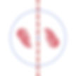 1-1 Placeholder.png