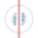 Port Huron Prowlers 2023 Center Ice and Rink Layout | TheFaceoff.net