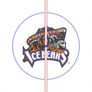 Knoxville Ice Bears 2021