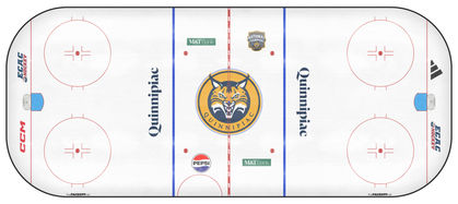 Rink Empty.jpg