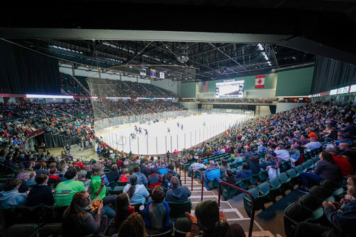 Vibrant Arena