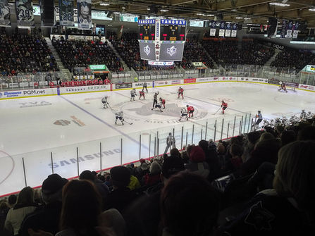 Colisée de Rimouski Interior